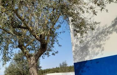 Monte do Rochinha - Foto 13