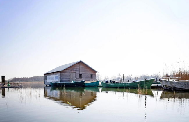 Ferienwohnung auf dem Fischerhof, Vipperow - Foto 11
