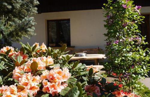 Fewo Lutterow - Foto 5