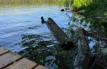 Siemiany Michałówka - Foto 38