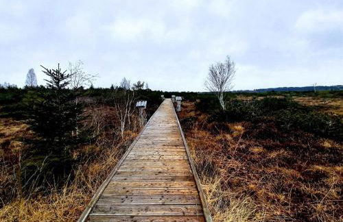 Landhaus Glücksmoment - Foto 16