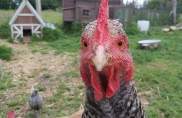 La Séliniére ! - Foto 29