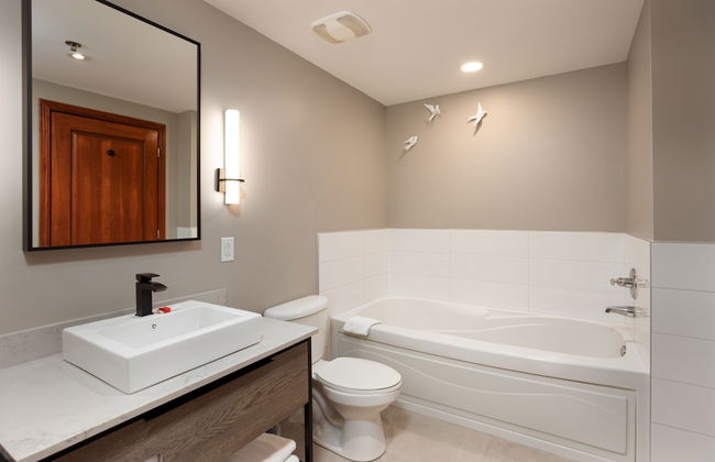 Sommet des Neiges - Foto 27