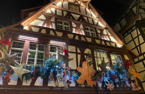 T2 - Balcon -15 min centre ville et Allemagne - Foto 34