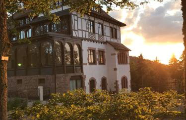 Logis Du Haut-Koenigsbourg - Foto 4