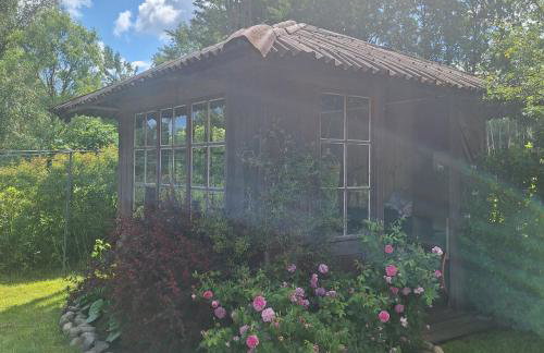 Sielanka Wydmy i Las - Foto 74