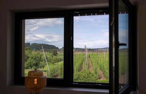 Hinterland&See - Foto 43