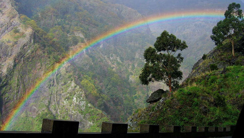 Curral das Freiras Madeira Day Trip - Foto 3