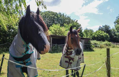 Brookfield Lodge - Foto 37