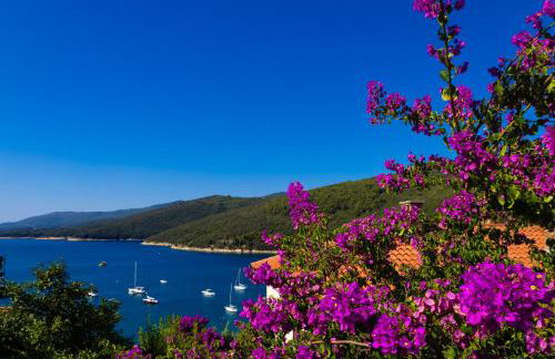 Apartment Blue Pearl - Foto 27