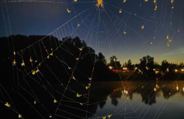 Pływająca Brda - Foto 6