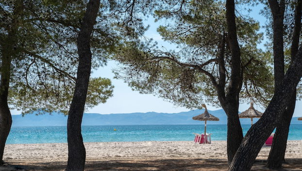 Apartamentos Caprice Playa de Alcudia - Foto 2, Imagen principal