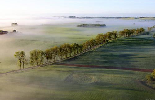 Miła Dolina - Foto 58