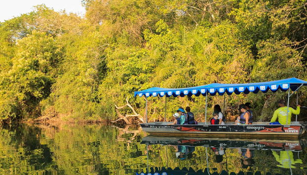 Barco elétrico pelo rio Formoso