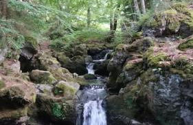 Chez Philopin - Foto 50