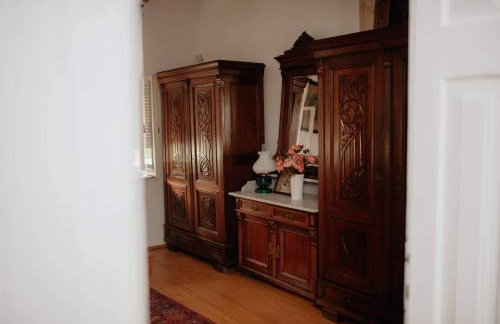 Kuća za odmor "Šokačka lady" - Foto 10