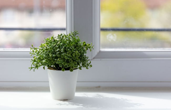 Elms Way No33 - Donnini Apartments - Foto 8