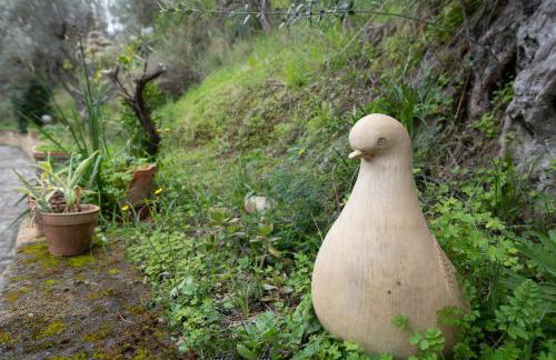 La Finestra sulle Eolie - Foto 76