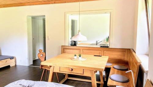 Haus Oberwössen Studio #2 Rechenberg mit Sauna - Foto 4