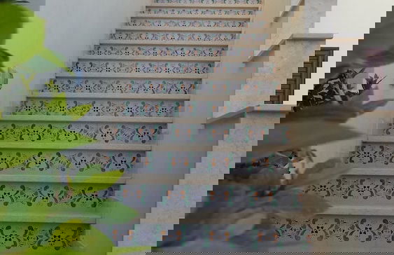 Agrisicilia - Foto 34