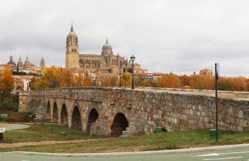 Apartamentos turisticos Puente Romano Portal 4 Bajo -A - Foto 16