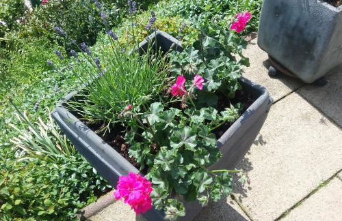 Perlenbachtal - Foto 40