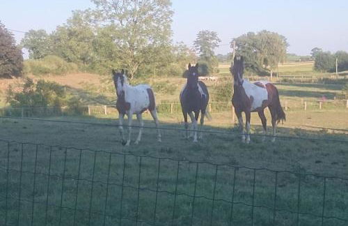 Ostseeblick im Andersenhof - Photo 15