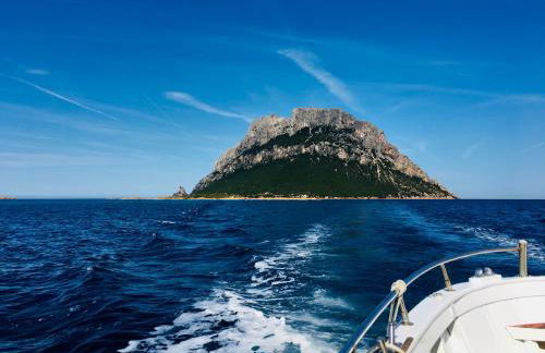 Beach House Ilaria- Smeraldo Apt - Photo 8