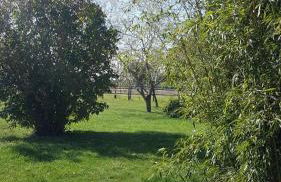 Gîte Le Campagnard - Foto 16