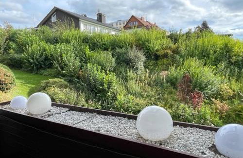 Ferienbutzen Harz Flieder - Foto 5