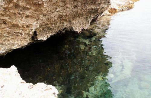 Belle Hélène - Foto 65