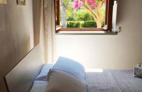 Podere Il Ritorno - Foto 8