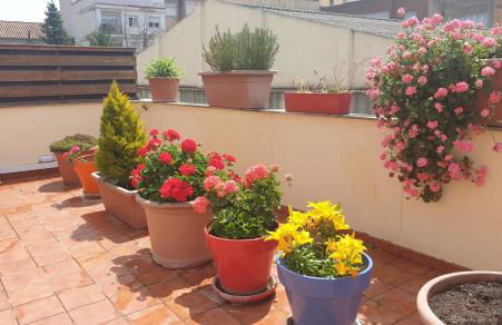 Apartamento Vilallonga - Foto 17