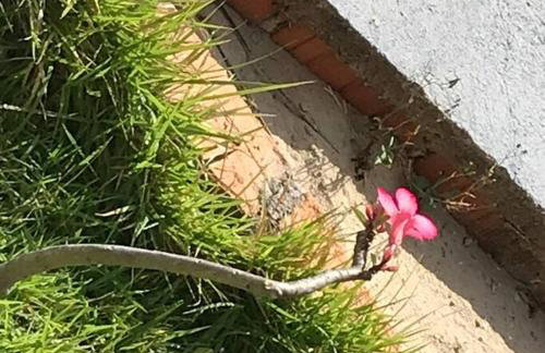 Casa do sossego - Foto 30