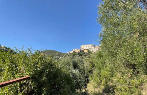 Cozy Studio - Foto 32