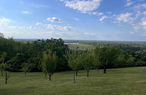 Eagle's View Villa - Photo 22