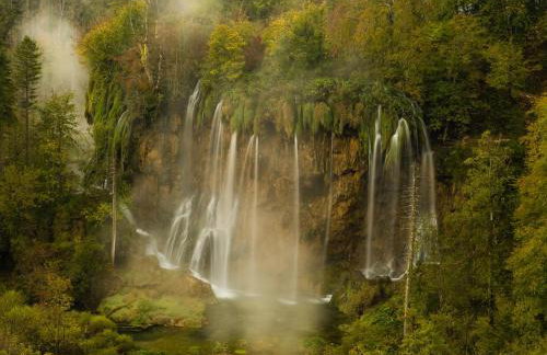 Afrodita Wellness Essence - Foto 40