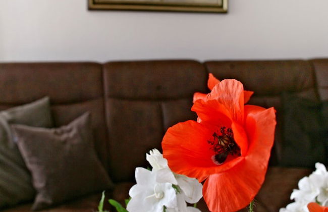 Paltian Ferienhäuser - Foto 46