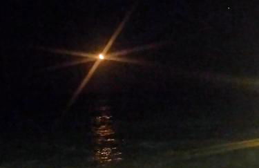 stella marina - Foto 28