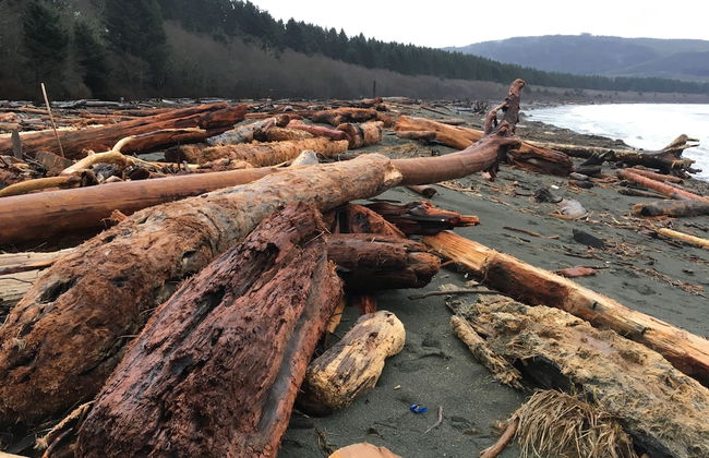 Eagle Reach - A West Coast Cottage - Foto 22