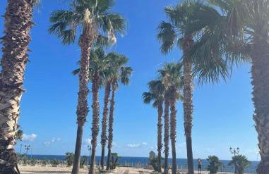 Home holiday Kalanto - Foto 31