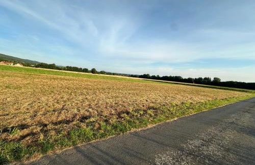 Ferien & Monteur Wohnung 1 - Little Afrika Extensive 5 Zimmer Wohnung - Foto 73