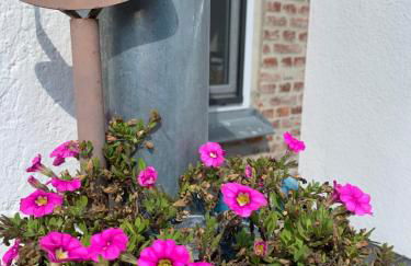 Ferienwohnung Sonnentraum - Foto 26