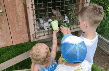 Domki w Parku na Mazurach - Foto 18