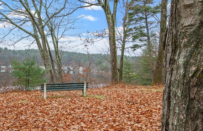 Massive Home w Sauna Pools Hot Tub Fireplaces - Photo 65