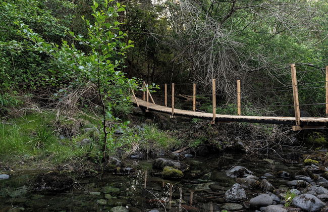 Carintia Cabins - Foto 28