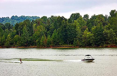 White Pines Lodge- Wooded Retreat - Foto 40