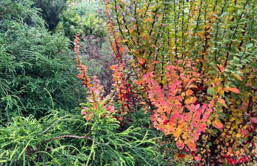 Drewniany Domek w Zakątku Andrzeje Śniczany 18 - Photo 60