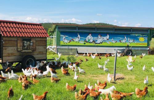 Weidelandfarm am Riebener See - Photo 20