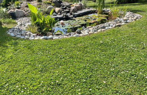 Pension Hugo - Foto 66